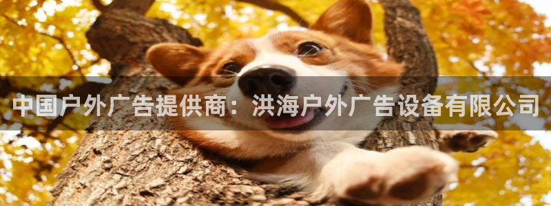 杏宇平台总代理电话