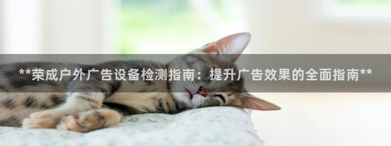杏宇平台招商怎么样