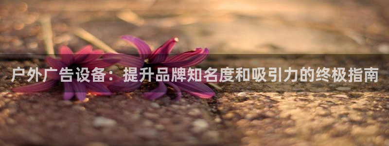 杏宇平台总代理