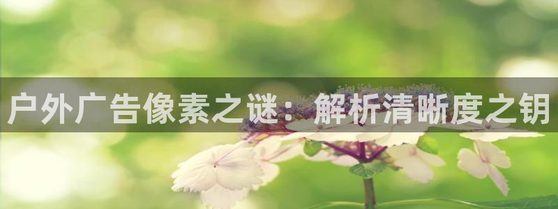 杏宇平台是什么