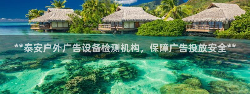 杏宇平台代理多少钱