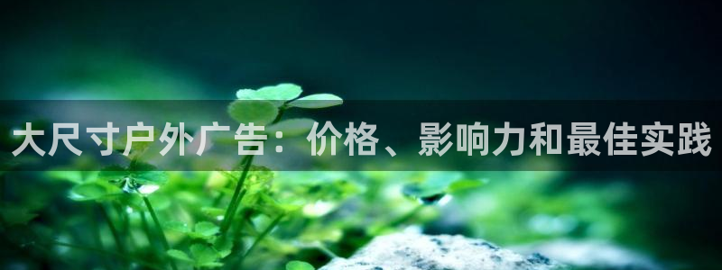 杏宇平台注册地址在哪里