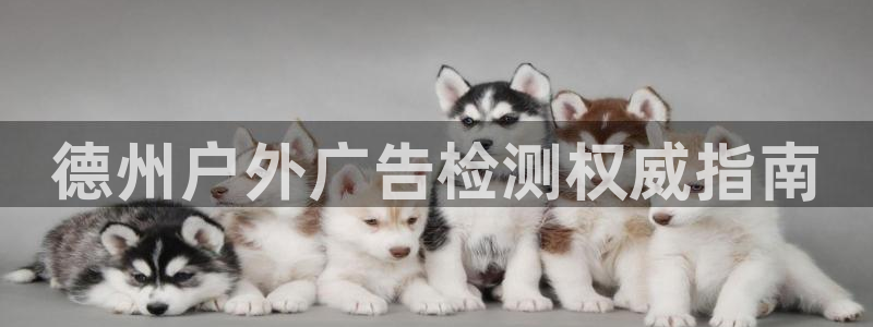 杏宇平台代理怎么样啊
