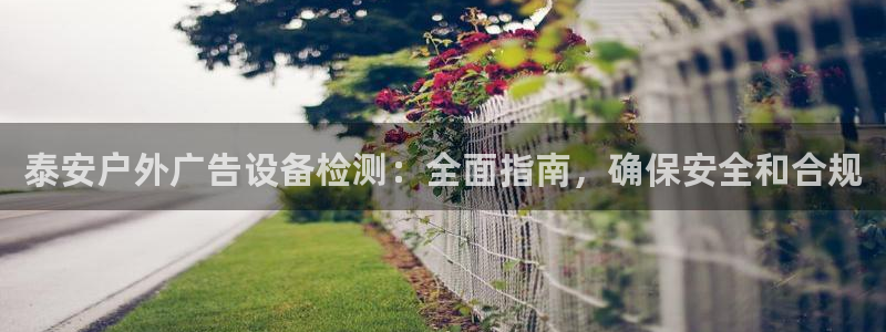 杏宇平台注册地址在哪里