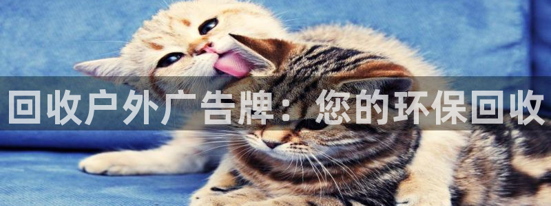 杏宇平台代理多少钱一次：回收户外广告牌：您的环保回收