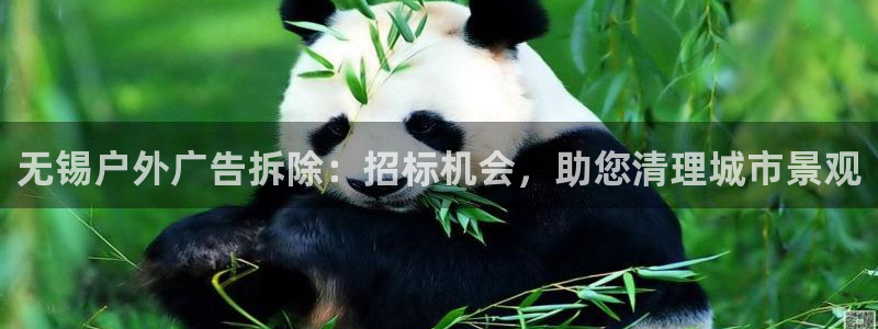 杏宇平台注册登录：无锡户外广告拆除：招标机会，助您清理城市景观
