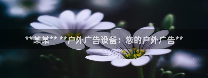 杏宇平台好吗：**某某** **户外广告设备：您的户外广告**