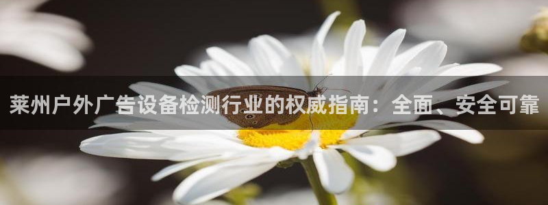 杏宇平台怎么样知乎：莱州户外广告设备检测行业的权威指南：全面、安全可靠
