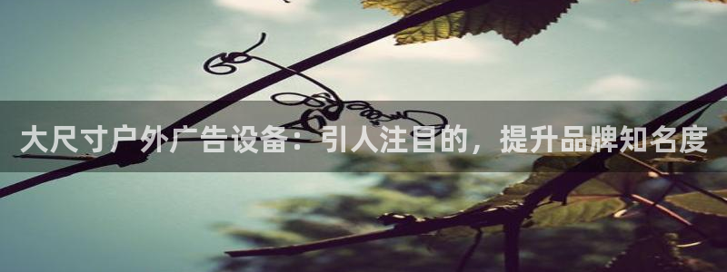 杏宇平台代理多少钱一个月