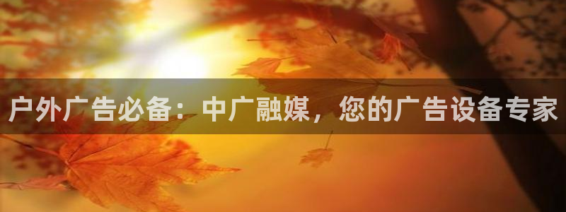 杏宇平台代理多少钱