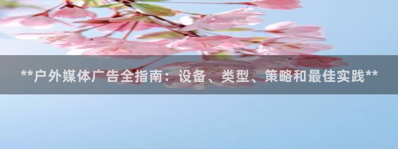 杏宇平台代理多少钱一次：**户外媒体广告全指南：设备、类型、策略和最佳实践**