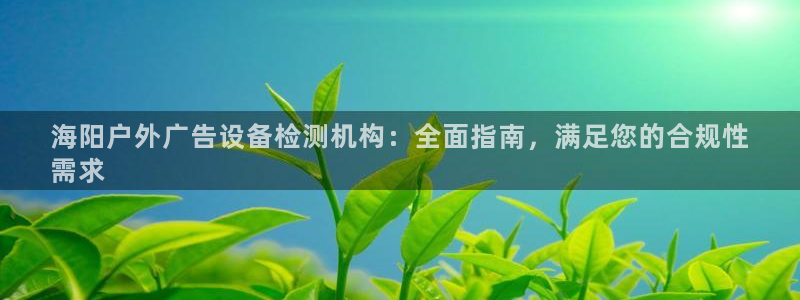杏宇平台注册地址在哪里：海阳户外广告设备检测机构：全面指南，满足您的合规性
需求