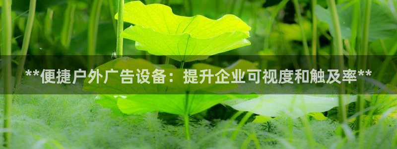 杏宇平台招商怎么样
