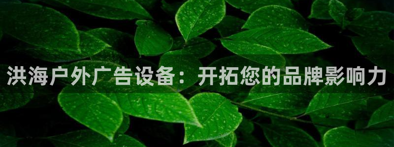 杏宇平台提现为什么这么久呢：洪海户外广告设备：开拓您的品牌影响力