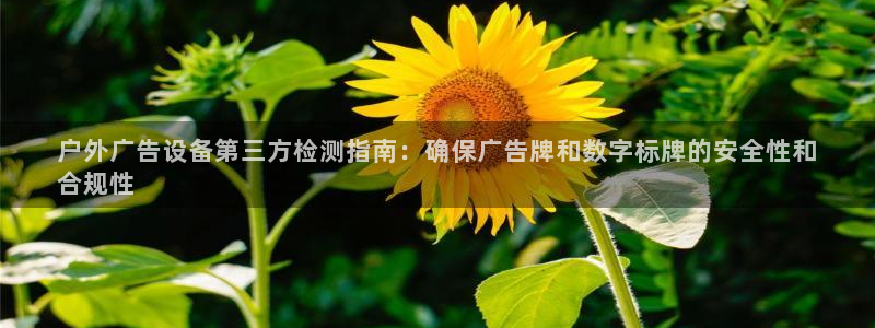 杏宇平台提现为什么这么久呢：户外广告设备第三方检测指南：确保广告牌和数字标牌的安全性和
合规性
