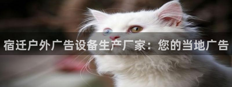 杏宇官方平台官网：宿迁户外广告设备生产厂家：您的当地广告
