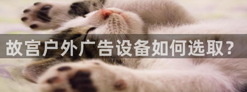杏宇平台代理多少钱一个：故宫户外广告设备如何选取？