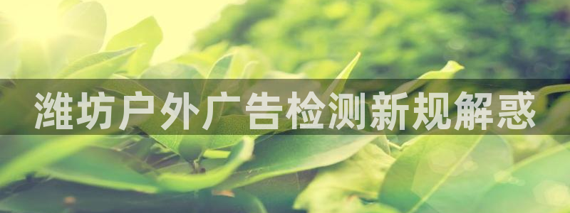 杏宇平台主管：潍坊户外广告检测新规解惑