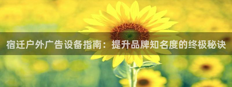 杏宇平台代理多少钱一个月：宿迁户外广告设备指南：提升品牌知名度的终极秘诀