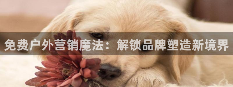杏宇平台总代理电话：免费户外营销魔法：解锁品牌塑造新境界