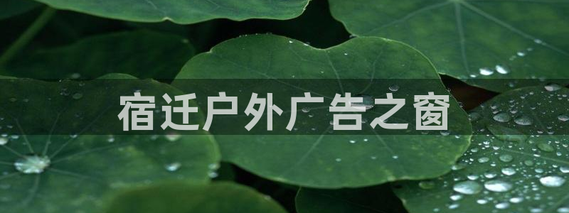 杏宇官方平台官网下载：宿迁户外广告之窗