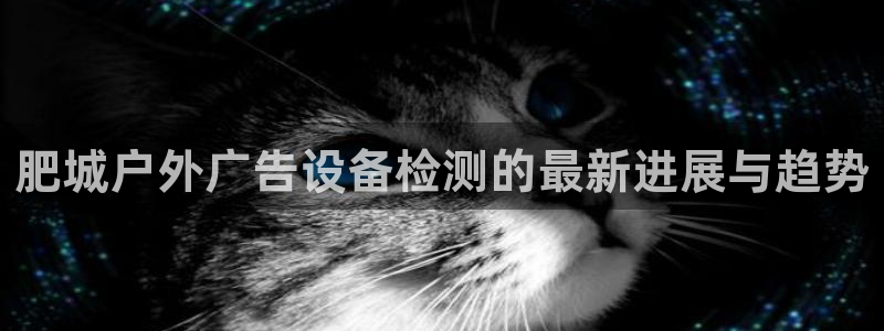 杏宇平台怎么样知乎：肥城户外广告设备检测