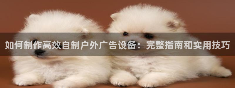 杏宇平台怎么样：如何制作高效自制户外广告设备：完整指南和实用技巧