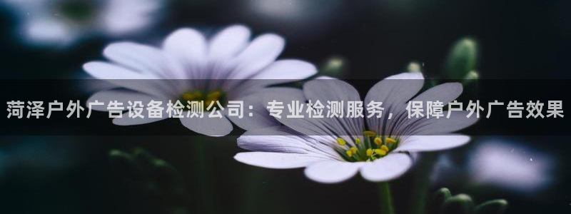 杏宇平台注册地址：菏泽户外广告设备检测公
