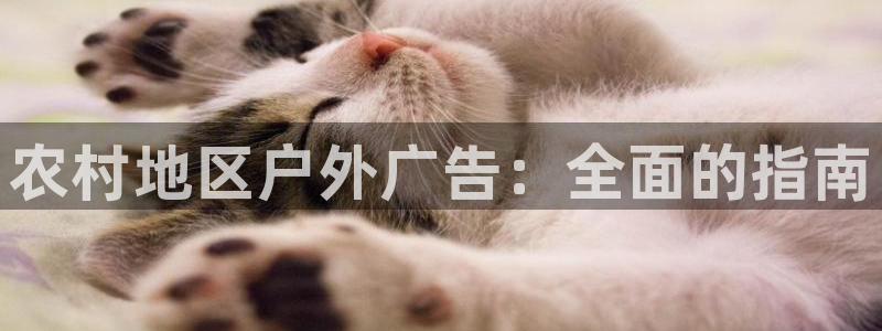 杏宇平台代理怎么样：农村地区户外广告：全面的指南